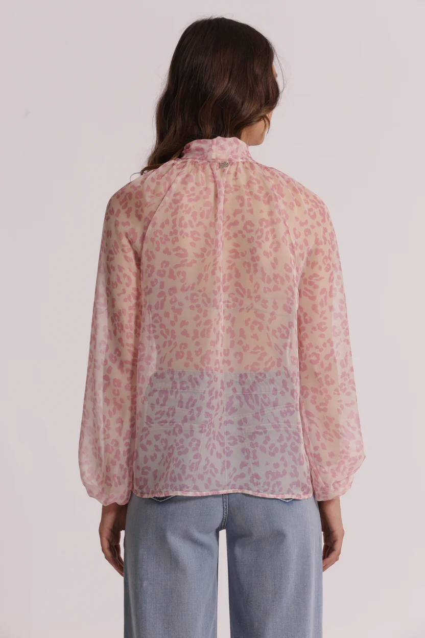MSAO-1987_225_02.webp